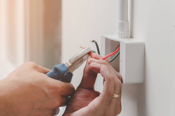 Best Electrical Panel Upgrades  in Dumas, TX